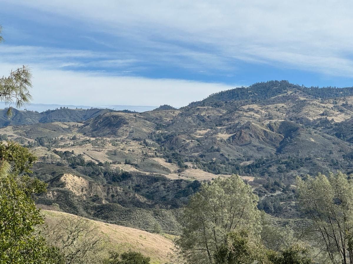 Sedgwick Moderately-Strenuous Hike. Southwest Corner Loop. May 10th, 2025