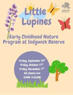 Little Lupines: Early Childhood Nature Program