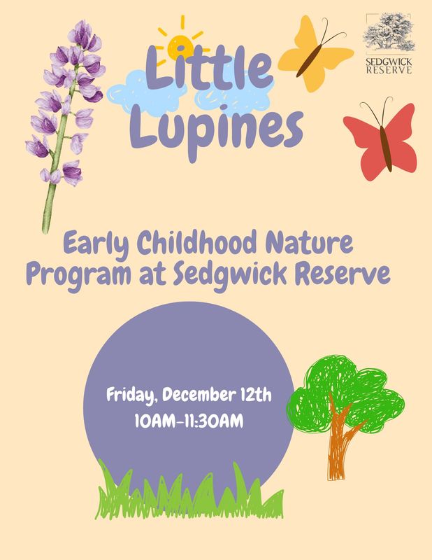 December Little Lupines: Early Childhood Nature Program