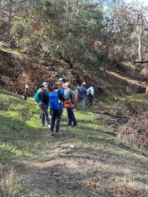 December 2025 Public Access Day