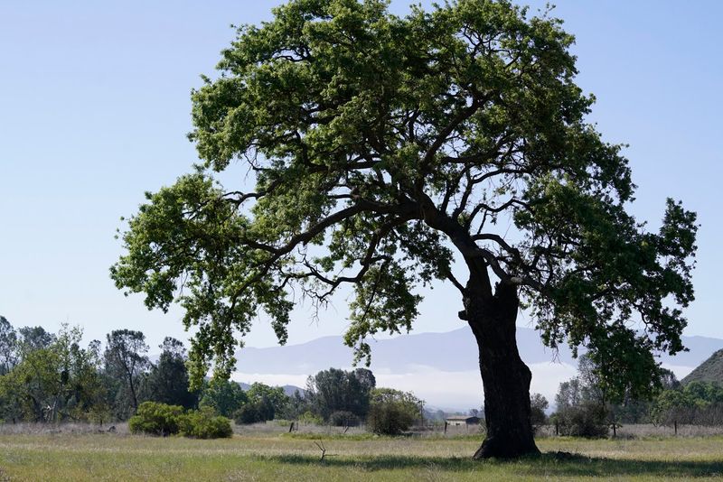 Sedgwick Sampler. Easy Hike. December 13, 2025