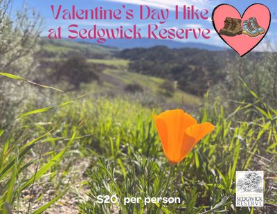 Valentine's Day Hike at Sedgwick Reserve