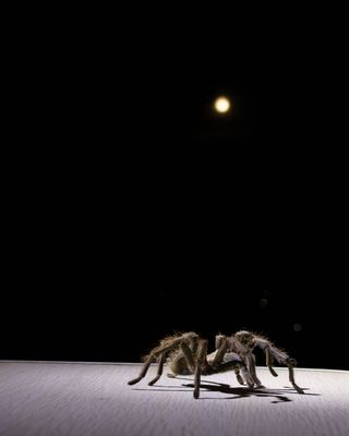 October 24 Full Moon Hike