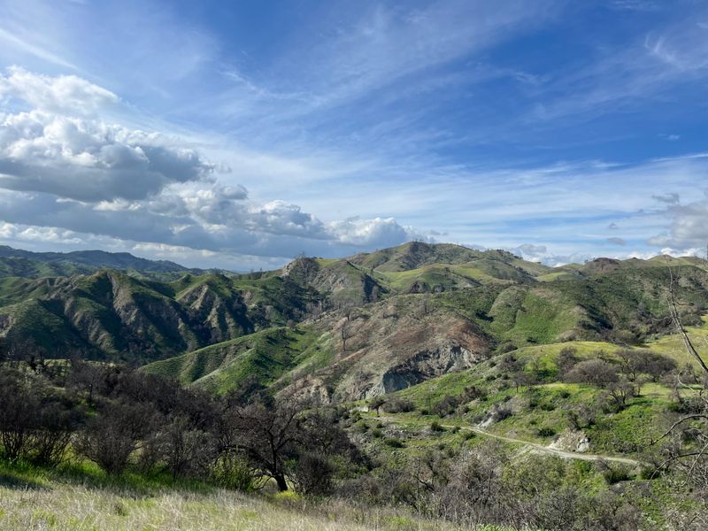 Sedgwick Strenuous Hike. Pistol Club Trail. March 14, 2026