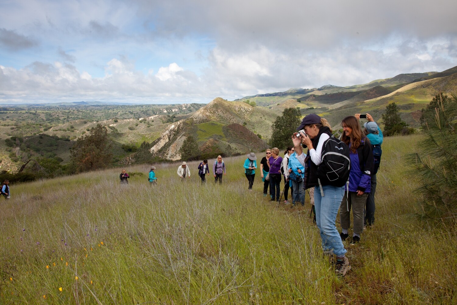 Sedgwick Strenuous Hike. Fire Ecology in the Pine Needle Valley. Jan 24, 2026