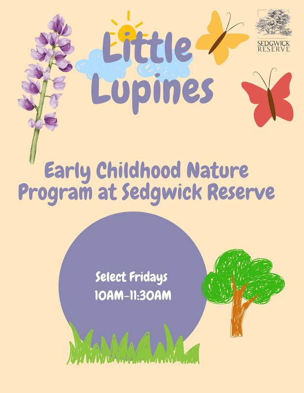 February 27th Little Lupines: Early Childhood Nature Program