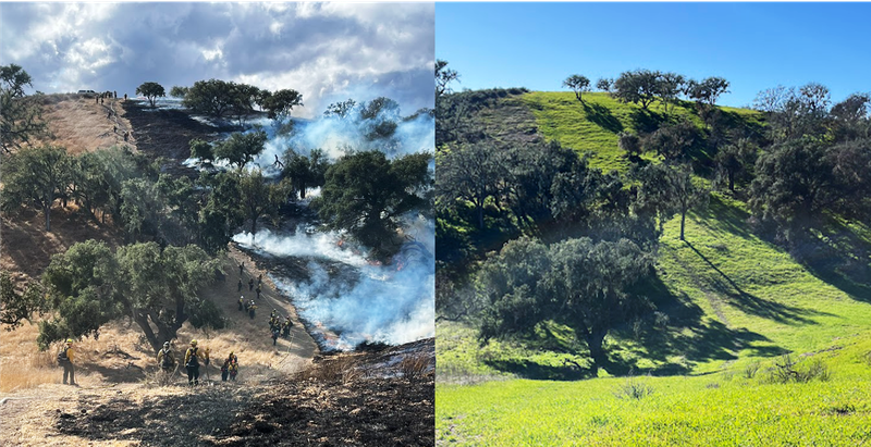 Fire Follower's Tour at Sedgwick Reserve
