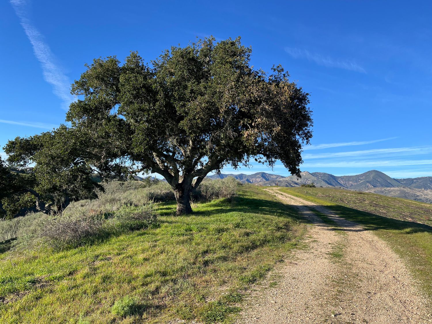 Sedgwick Moderate Hike. Ridge to Ridge. March 14, 2026
