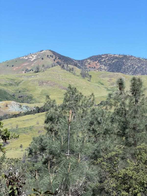 Sedgwick Strenuous Hike. Blueschist. April 18, 2026