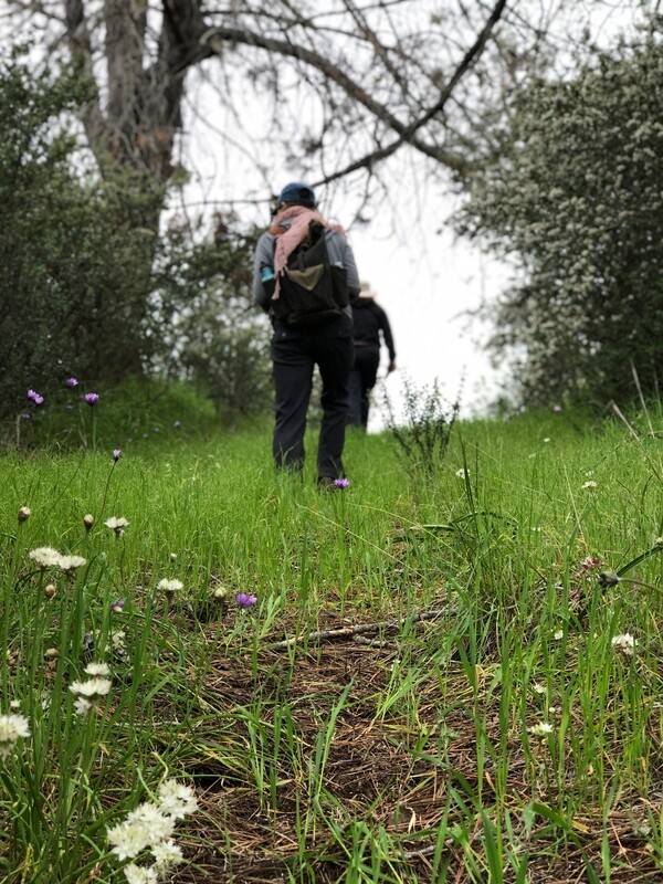 Sedgwick Easy+ Hike. Quail Trail. April 18, 2026