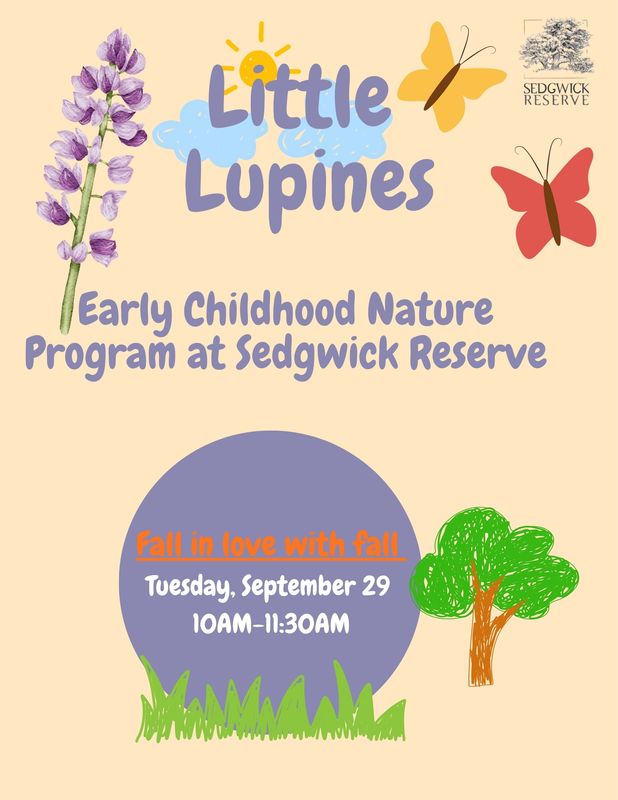 Fall Little Lupines: Early Childhood Nature Program