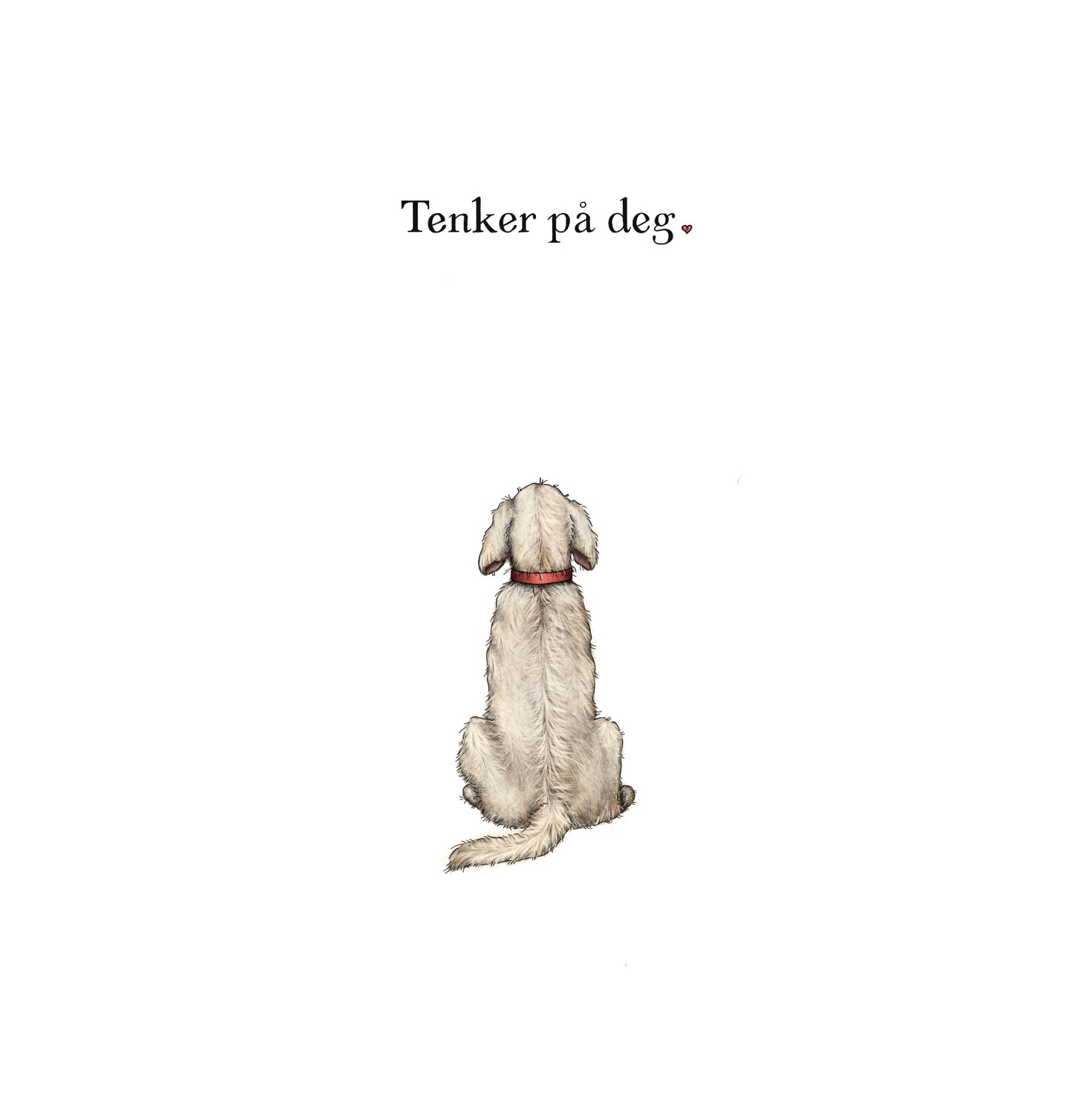 Sitt