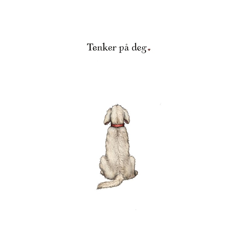 Sitt