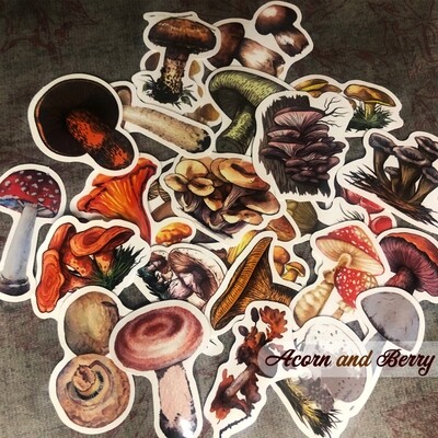 Mushroom Madness - Sticker Set