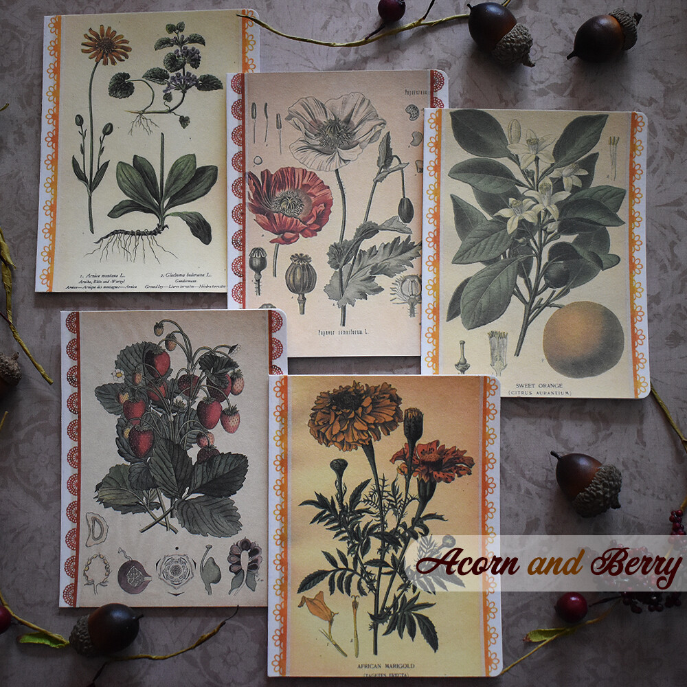 Botanical Book Plates - Mixed-media Notecard Set