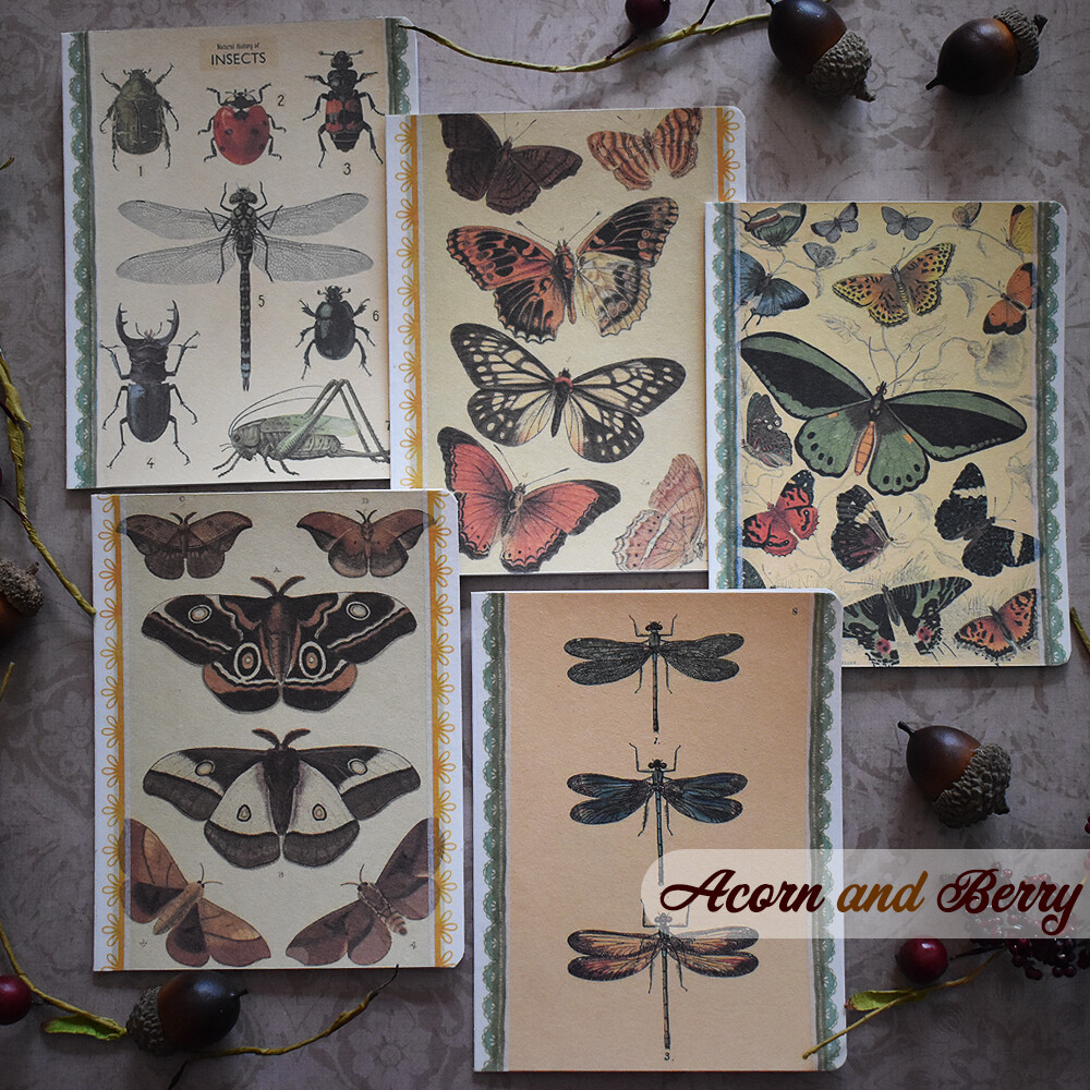 Insect Book Plates - Mixed-media Notecard Set