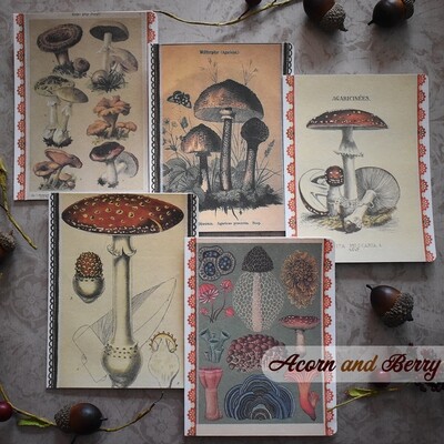 Mushroom Book Plates - Mixed-media Notecard Set