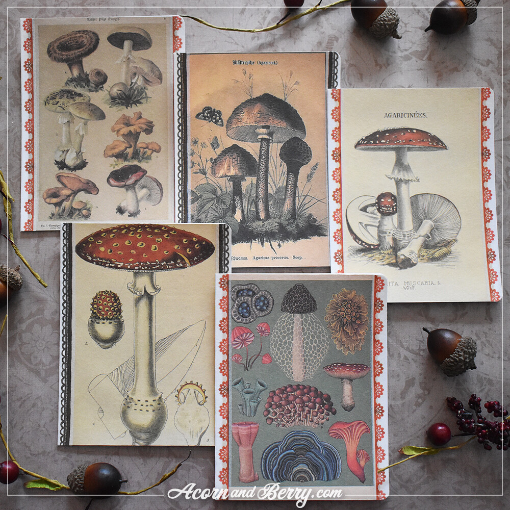 Mushroom Book Plates - Notecard Set
