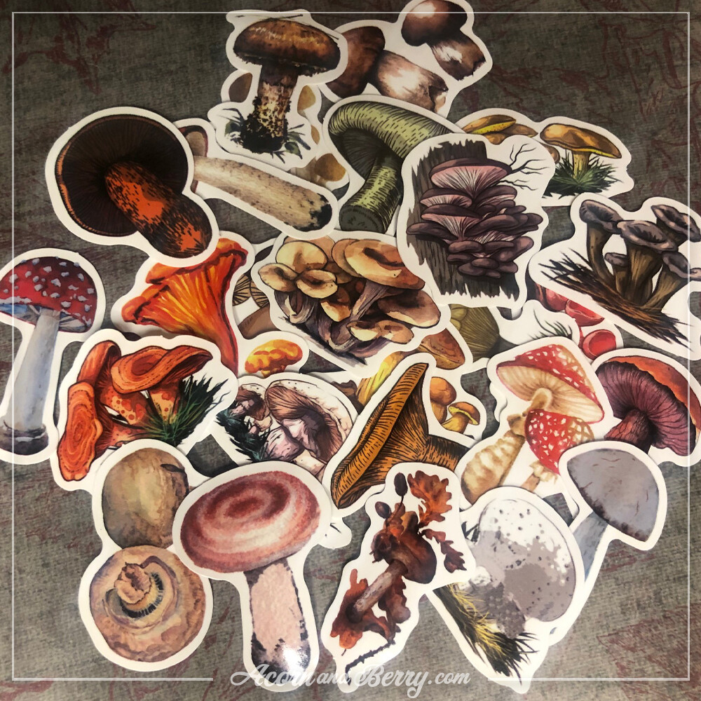 Mushroom Aficionado - Sticker Set