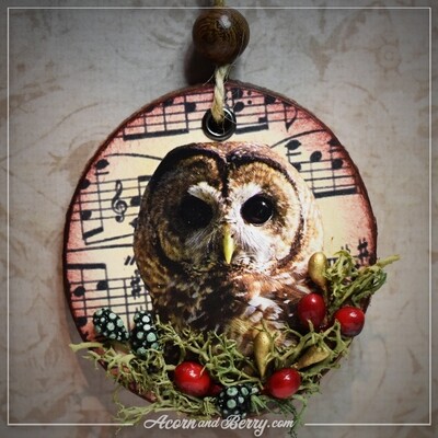 Barred Owl - Mixed-media Ornament