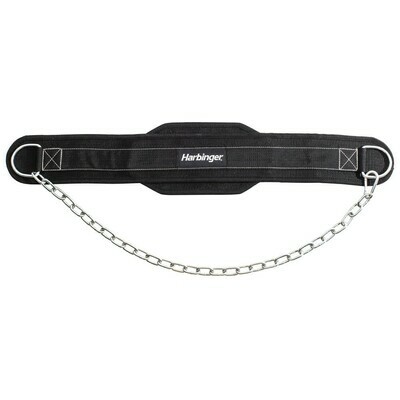 Polypropylene Dip Belt with Steel Chain