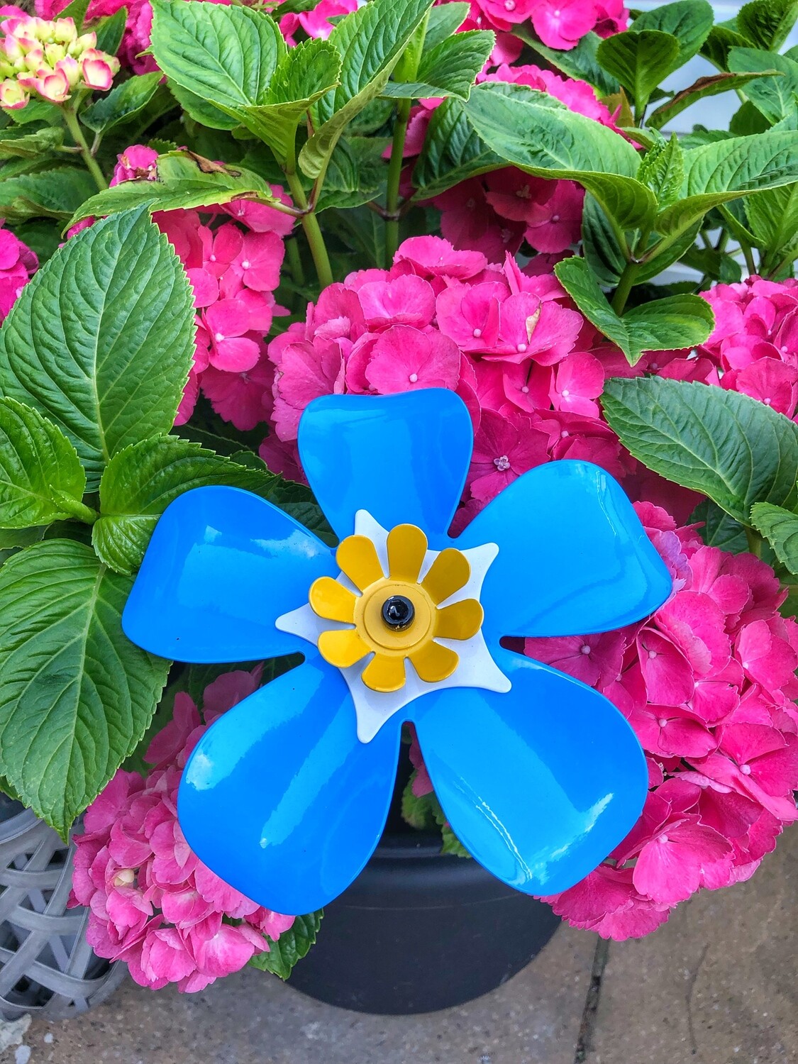 Dedicate a Forget Me Not flower