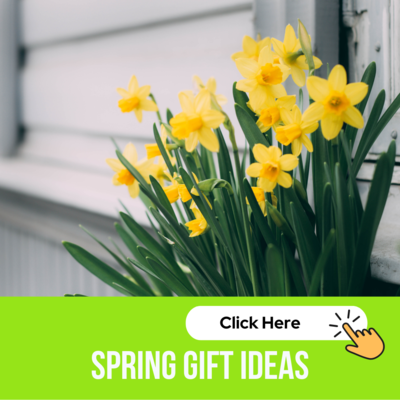 Spring Gift Ideas
