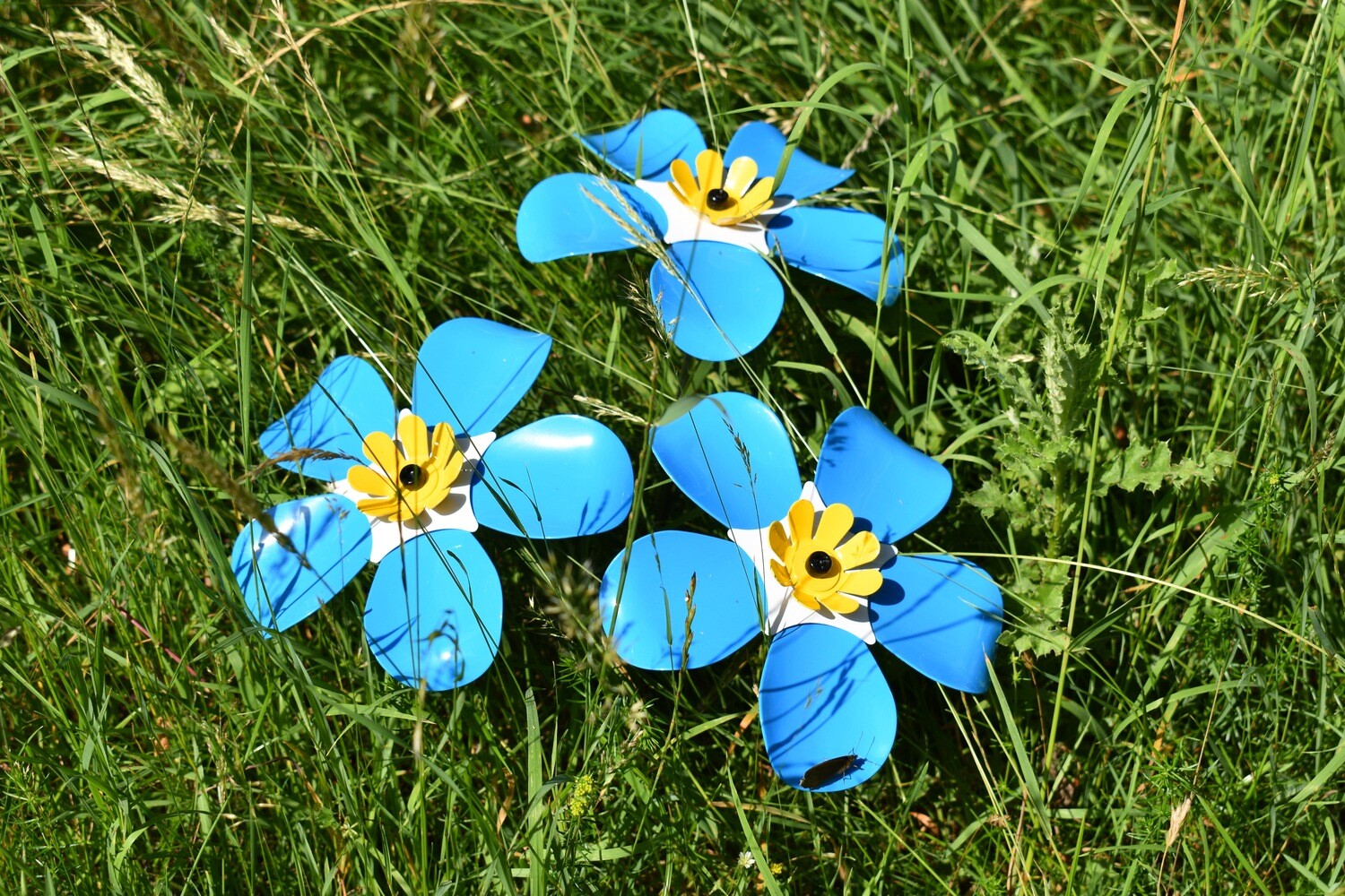 Request a legacy meadow forget me not - if you have left a legacy in your will