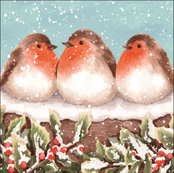 Robins in a Row (Glitter) Cards