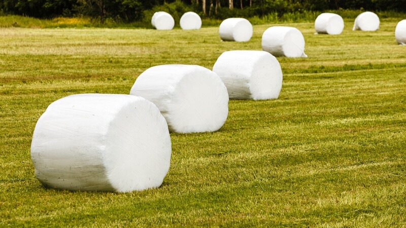 Haylage NutriManager (Baled Grass Silage) – Dry NIR (PEQ38)