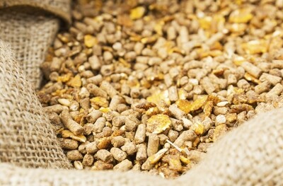 Feed &amp; Raw Materials