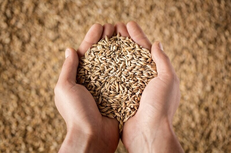 Grain Macro &amp; Micronutrients (PUD1W)