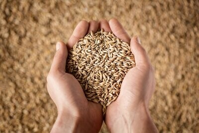 Grain Macro &amp; Micronutrients (PUD1W)