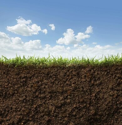 Heavy Metals / Potentially Toxic Elements in Soil (PBG12)