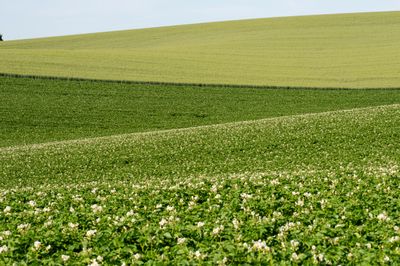 Soil Health Indicator - Complete