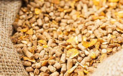 Compound Feed Analysis for Ruminants