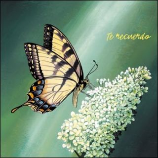 Te Recuerdo (No Temas CD)