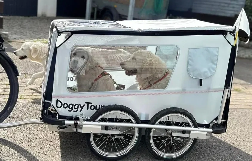 DoggyTourer Hundeanhänger XL Beethoven 4-Rad DoggyTourer Hundeanhänger XL Beethoven 4-Rad, Farbe: Silber