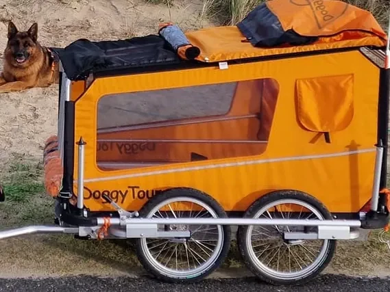DoggyTourer Hundeanhänger XL Beethoven 4-Rad, Farbe: Orange