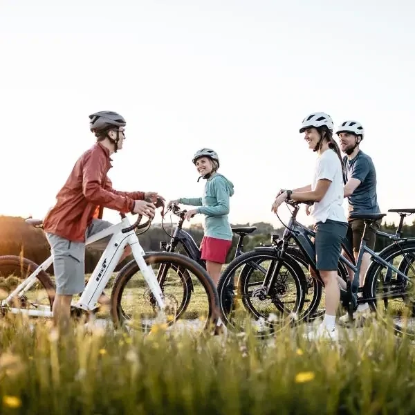 Advanced EBIKE