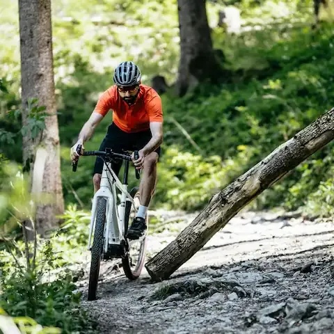 Advanced EBIKE
