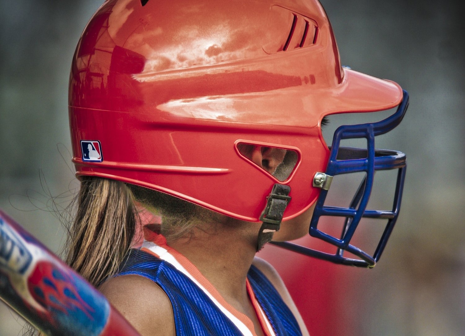 Head Guard
