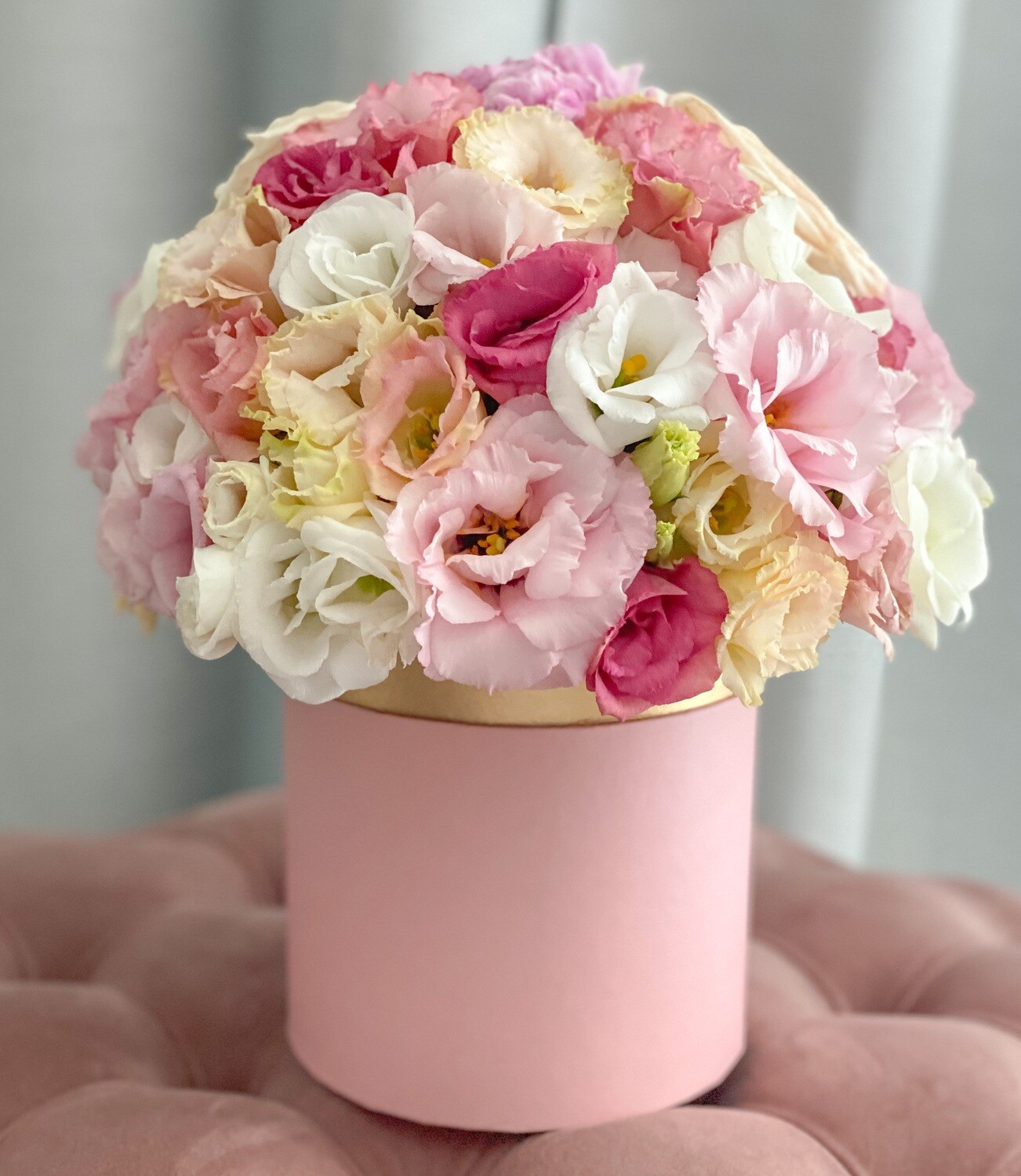 Bloom
