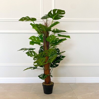 Monstera (Artificial)