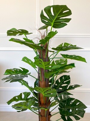 Monstera (Artificial)