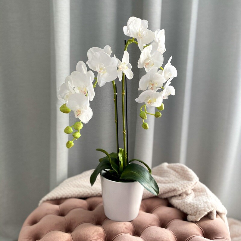 White Orchid (Artificial)