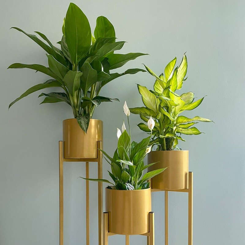 Pots | Planters