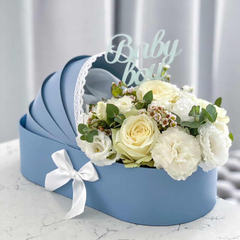 New Born