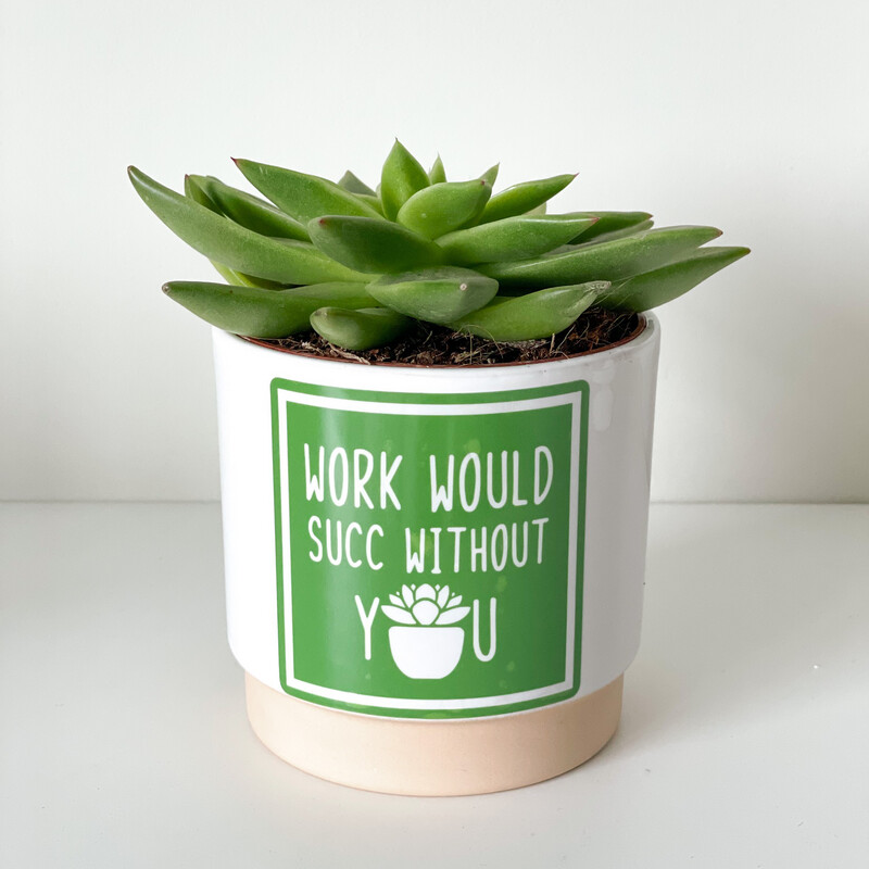 Work Would Succ Without You
