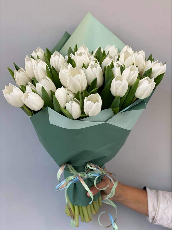 Tulips (all white)
